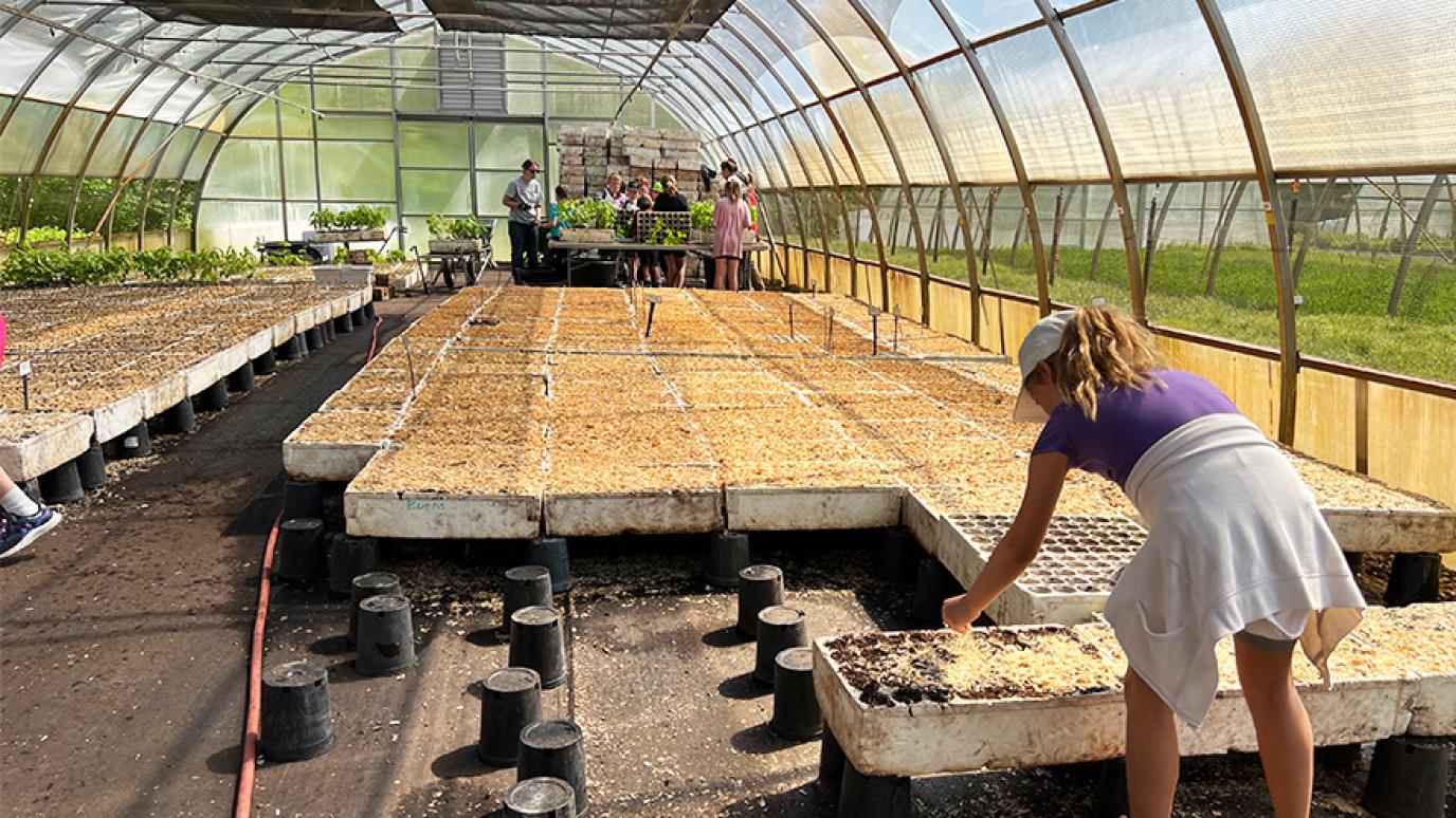 Girl in purple shirt planting seedlings with group of volunteers in the background. 