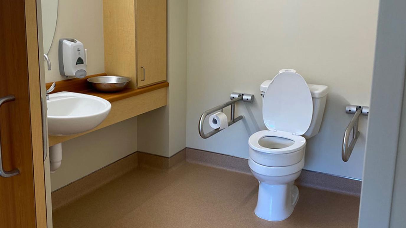 Accessible washroom showing toilet, sink and vanity