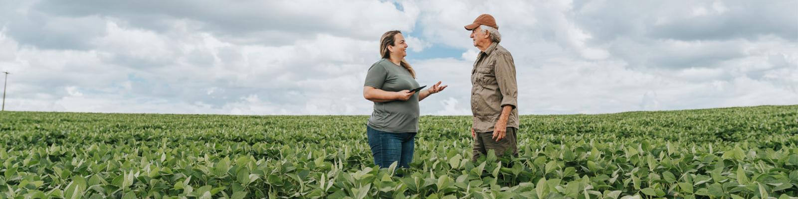 Farmers talking in the soybean field