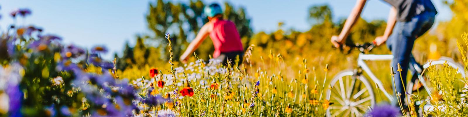 Two young people biking in the background though a rural field with blurred flowers and grasses.