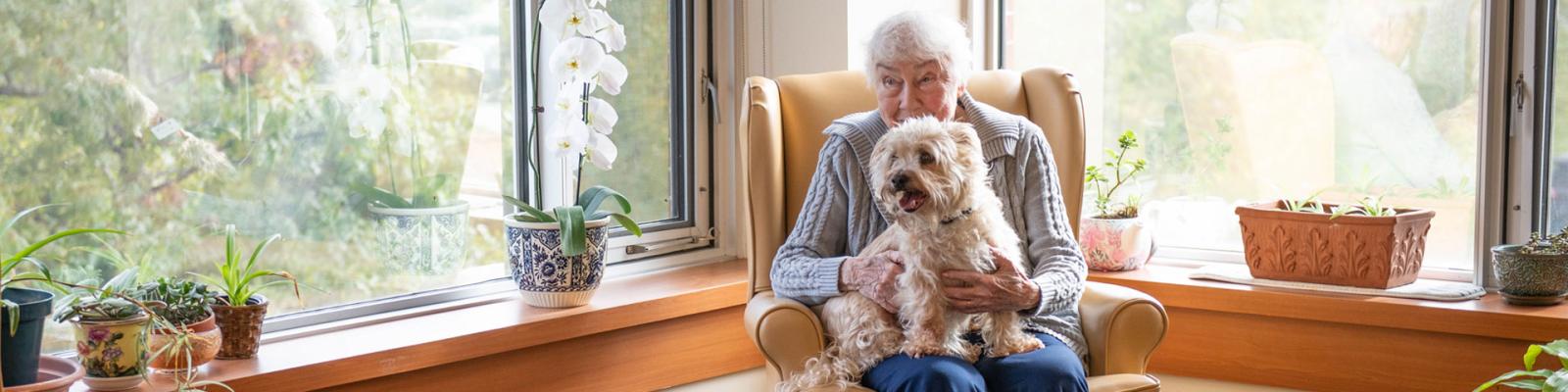 Elderly woman in comfy club chair, petting a therapy dog, surrounded by large sunlit windows