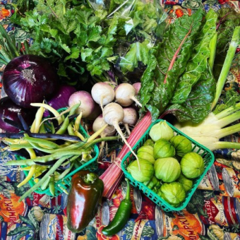 table full of produce