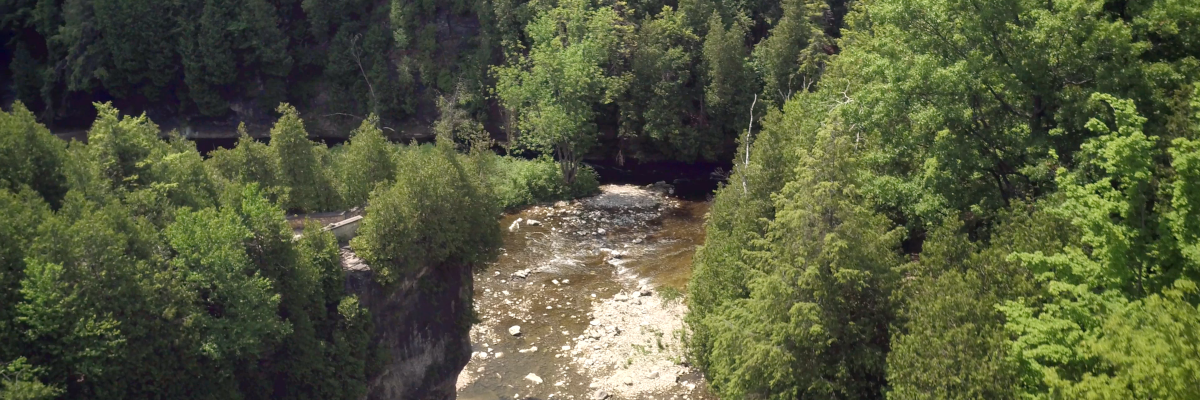 aerial view of river, cliffs and trees in the Elora Gorge